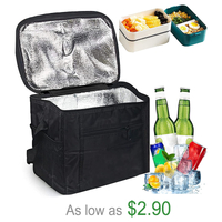 Large Capacity Waterproof Insulated Lunch Thermal Picnic Soft Foldable Cooler Bag