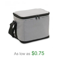 Factory Customised Ice Insulated Lunch Bag Insulated Cooler Bag